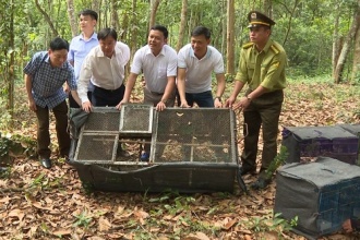 Thả 133 cá thể động vật hoang dã và 38,5 kg Rắn về môi trường tự nhiên tại VQG Phong Nha – Kẻ Bàng